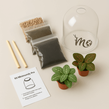 Kit MINI MUNDY PRO