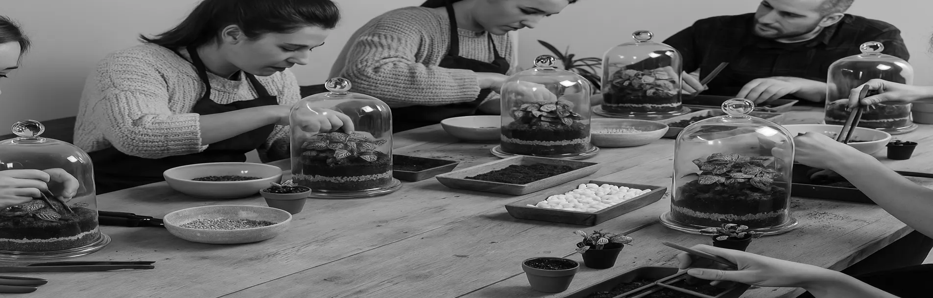 NUESTROS TALLERES